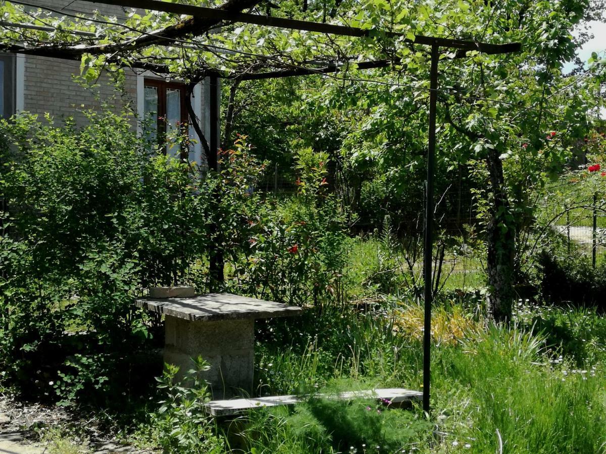 Casa Nel Verde Decollatura Exterior foto